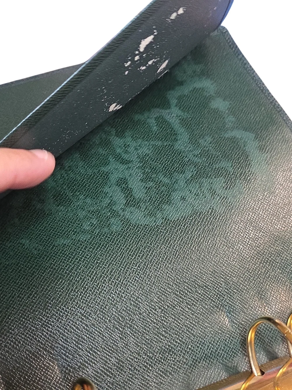 Louis Vuitton elegant louis